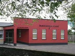 gilson ns